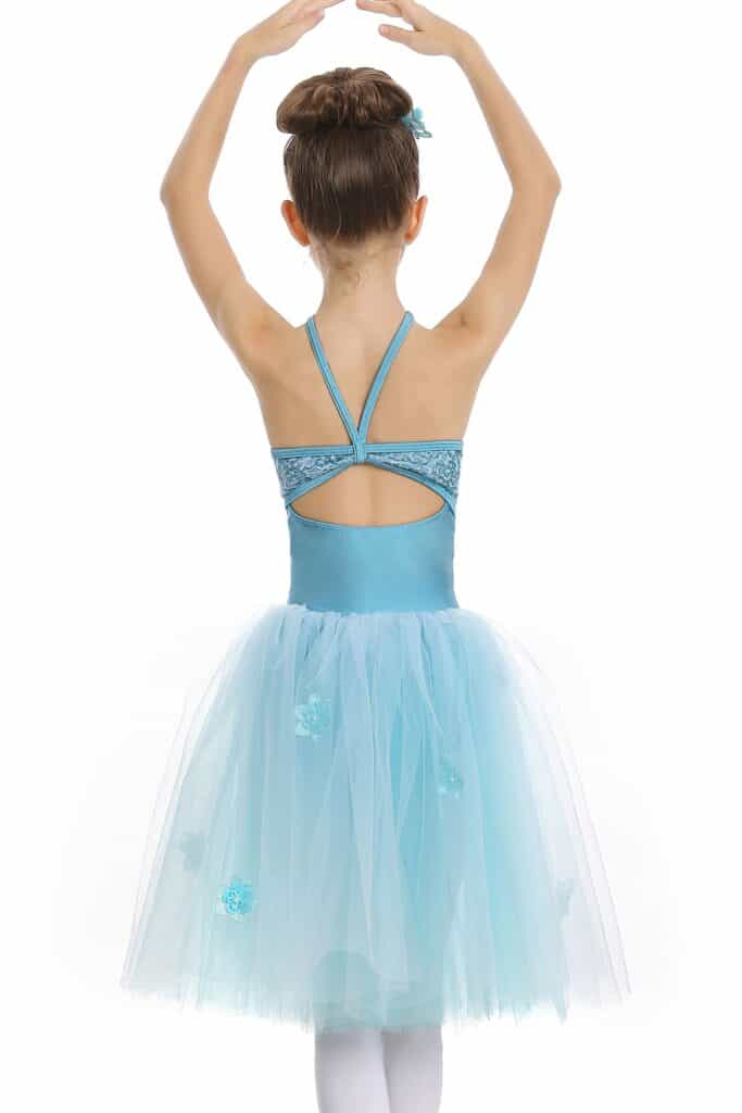 ballet - blue rhapsody back view