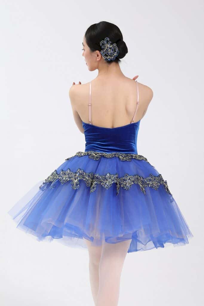 ballet costume - blue moon back view